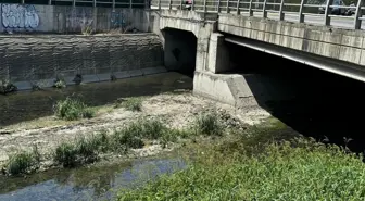 Hem vatandaş hem de esnaf isyanda! Alibeyköy Deresi yüzünden kokudan durulmuyor