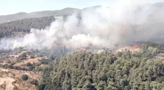 Muğla Milas'ta Orman Yangını Söndürme Çalışmaları Devam Ediyor