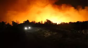 Muğla ve Aydın'daki orman yangınlarında mahalleler tahliye ediliyor