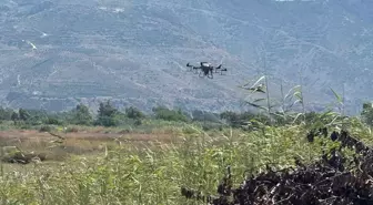 Samandağ ilçesinde dronla haşere ve sinek ilaçlama yapıldı