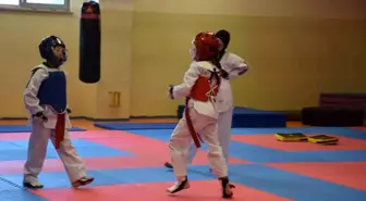 Bilecik'te Yaz Spor Okulları 25 branşta 20 bin öğrenciye eğitim veriyor
