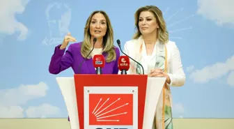 CHP Kadın Kolları Genel Başkanı Seçildi
