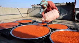 Kahramanmaraş'ta Biber Salçası Üretimi Hız Kazandı