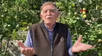 Emekli öğretmen, Bileşik Kaplar Sistemiyle bahçesinde 100 ağaç yetiştiriyor