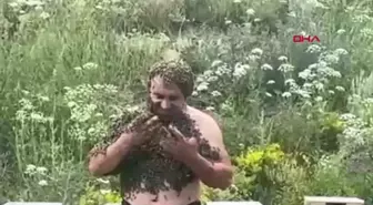 Arıcılık Yapan Heykeltıraş, Savaşlara Dikkat Çekmek İçin Arılarla Resim Çizdi