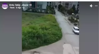 Ordu'da çocuklar park istedi, belediye park yapacak