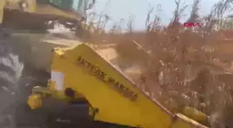 Çiftçiler, mısır fiyatlarının açıklanmasını bekliyor