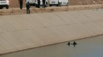 Şanlıurfa'da Serinlemek İçin Kanala Giren Genç Kayboldu