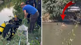 Son anları kamerada! Sulama kanalına düşen küçük çocuğu kurtaran adam kendi canından oldu