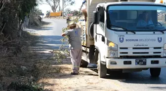 Bodrum Gümüşlük'te Temizlik Seferberliği