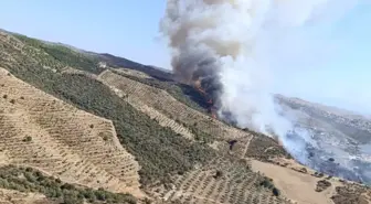 İzmir Urla'da Makilik Alanda Yangın Çıktı