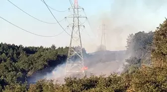 Sakarya'da yüksek gerilim hattının kopması sonucu çıkan yangın kontrol altına alındı