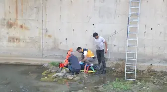 Yüksekova'da dereye düşen kişi kurtarıldı