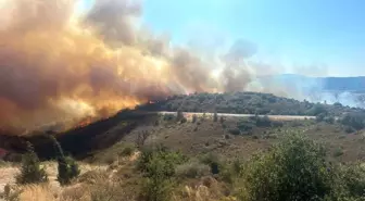 İzmir Urla'da Orman Yangınına Müdahale Başladı