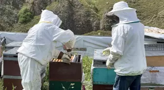 Anzer Balı Artık Referanslı Kovanlarla Belirlenecek