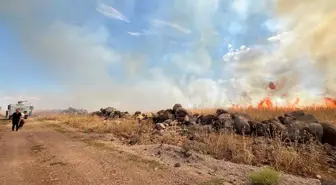 Diyarbakır'da çıkan anız yangınında TOMA'lar göreve çağrıldı