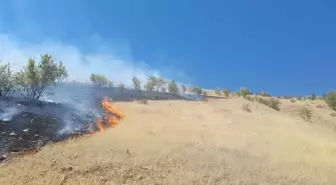 Elazığ'da çıkan yangın kontrol altına alındı