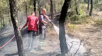 Hatay'ın Yayladağı ilçesinde orman yangını kontrol altına alındı