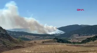 Konya Ilgın'da Orman Yangını