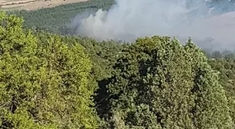 Ilgın'da çıkan yangın söndürüldü, 2 kişi gözaltına alındı