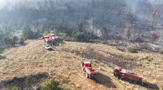 Konya'nın Ilgın ilçesinde çıkan orman yangını kontrol altına alındı