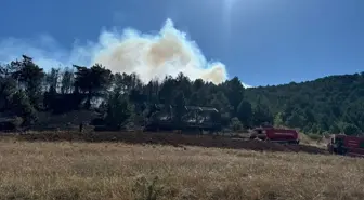 Konya'nın Ilgın ilçesinde orman yangını çıktı