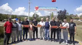 Sakarya'da Çilek Hasadı Keyfi