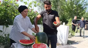 Iğdır'da Karpuz Hasadı Tarla Günü Etkinliğiyle Gerçekleştirildi