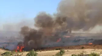 Kırklareli'nde anız yangını itfaiye ekipleri tarafından söndürüldü