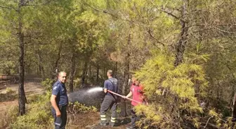 Hatay'da ormanlık alanda çıkan yangın kontrol altına alındı