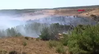 Bozcaada'da Tarım Arazisinde Başlayan Yangın Ormana Sıçradı