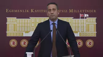 CHP, sahipsiz hayvanlara yönelik kanunun iptali için Anayasa Mahkemesine başvuracak