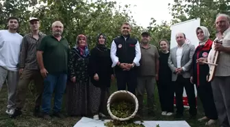 Düzce'de Fındık Hasat Şenliği Düzenlendi