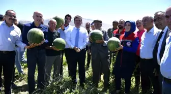 Karaman Valisi Ortaoba köyünde karpuz hasadına katıldı