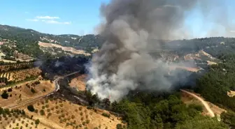 Manisa'nın Gördes ilçesinde orman yangını çıktı