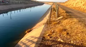 Şanlıurfa'da sulama kanalında boğulan çocuk hayatını kaybetti