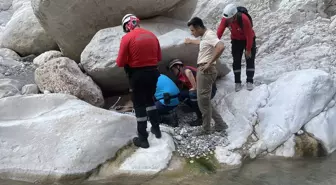 Antalya'da yaralı yaban keçisi kurtarıldı