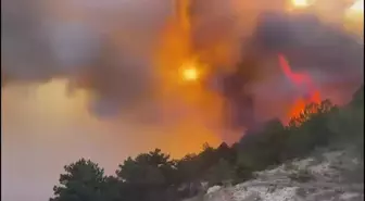 Bolu'nun Göynük ilçesinde yangın çıktı