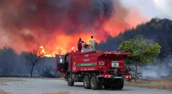 Çanakkale'de Büyükanafarta köyü yakınlarında orman yangını