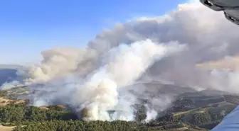 Manisa'da çıkan orman yangınlarına müdahale sürüyor