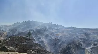 Manisa'da Gördes ilçesinde orman yangını devam ediyor