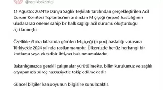 M çiçeği Türkiye'de görülmedi, tedbir gerekmiyor