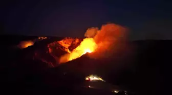 Çanakkale'de Büyükanafarta köyü yakınlarında orman yangını