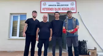 Amasya'da Yaralı Bulunan Balaban Kuşu Koruma Altına Alındı