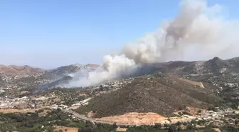 Aydın'ın Bozdoğan ilçesinde orman yangını çıktı