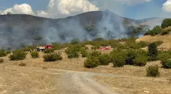 Bingöl'de merada ve ormanlık alanda çıkan yangın kontrol altına alındı