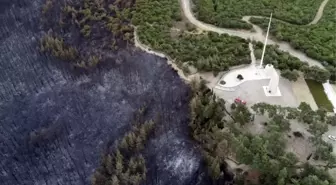 Çanakkale'de orman yangını sonucu bir günde yaşanan kayıp gözler önüne serildi