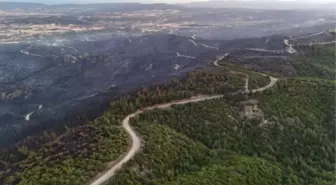 Çanakkale orman yangını söndürüldü mü? Çanakkale'de orman yangını nerede çıktı?