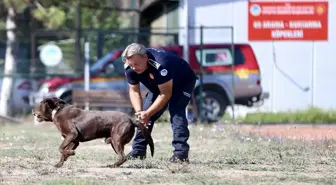 Depremde enkaz altından çıkan itfaiyeci, arama kurtarma köpekleriyle afetzedelere yardım ediyor