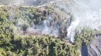 Zonguldak'ta deniz kenarındaki fındık bahçesinde yangın çıktı